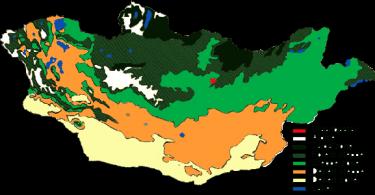 How the Mongoloid race was formed: signs, interesting facts Characteristics of the population of Mongolia according to plan