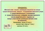 Правописание ь после шипящих на конце имен существительных