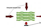 Liquid crystal polymers have become controllable Liquid crystal polymers