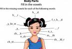 Анатомия на тялото на английски за деца
