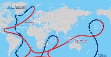 What really happened to the Gulf Stream Where does the Gulf Stream flow?
