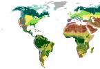 Opis i karakteristike prirodne zone šumske stepe Koja je temperatura u šumskoj stepi