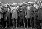 Nazi medicine: inhuman experiments on humans