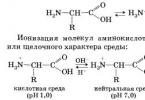 Аминокиселини - номенклатура, получаване, химични свойства