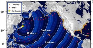 Žemės drebėjimas ir cunamis Japonijoje Ar yra apsauga nuo cunamių?