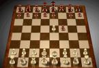 Šachmatų ėjimų taisyklės