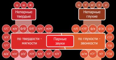 М'які та тверді приголосні звуки